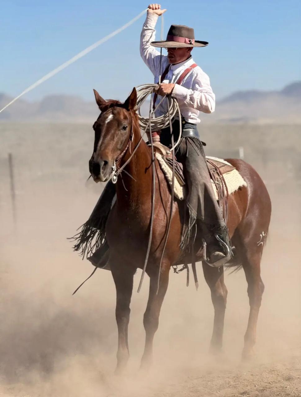 6/S Horsemanship trainer with a horse