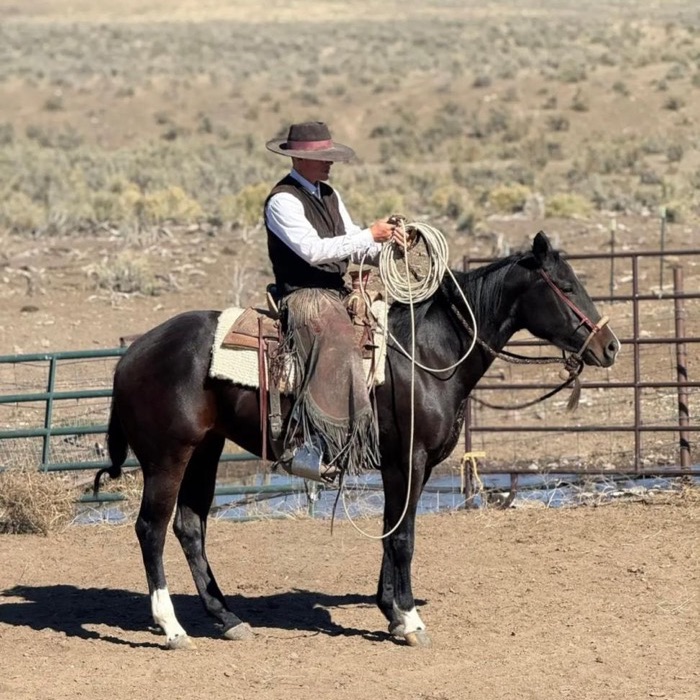 6/S Horsemanship, photo 10