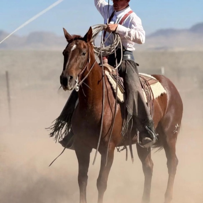 6/S Horsemanship, photo 17
