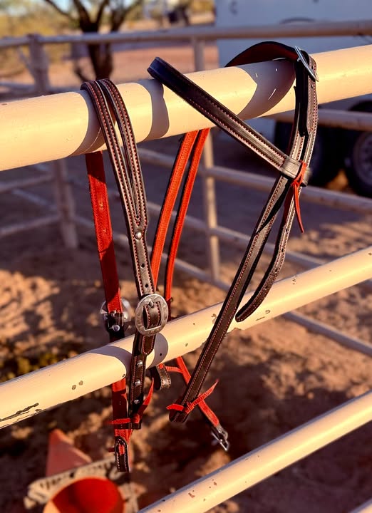 6/S Branded Headstalls
